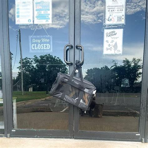 Dog in carrier found hanging on Oklahoma Humane Society's front door